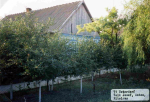 Volk, Unterdorf