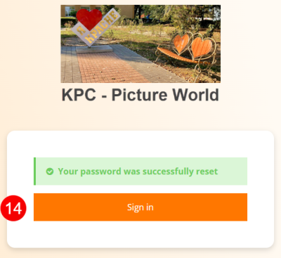  Password successfully reset