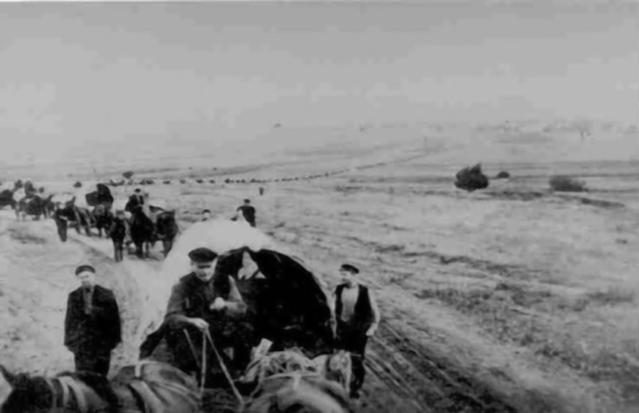 image-krasna-eduardvolk-101.jpg