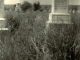 <p>Cemetery.  St. Joseph Catholic Cemetery, Krasna, Bessarabia, Russia, circa 1943.  <br />
Gravemarker:  Nathalia (Volk) Leinz, daughter of Michael and Thekla (Ziebart) Volk, wife 1 of Bernhard Philip Leinz.  <br />
Only known photo of gravemarkers in cemetery.<br />
<br />
Source:  Janet Ternes</p><p>Leinz, Volk</p><p>124z_page-041.jpg</p><p><a href="/_detail/alles/apk-1a/124z_page-041.jpg"><img title="Details" src="/lib/plugins/photogallery/images/details_page.png" width="30" /></a></p>