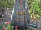 <p>Grave marker at Kobern-Gondorf, Palatinate, Germany.<br />
Otto Riehl, born 1930, Krasna, Akkerman, Bessarabia, Russia, son of Eduard and Veronika (Dirk) Riehl.<br />
Married Gisela Hähn.<br />
<br />
Source:  Ralf Nagel<br />
https://ofb.genealogy.net/famreport.php?ofb=krasna&amp;ID=I3044&amp;nachname=RIEHL</p><p>Riehl</p><p>096-photo-509.jpg</p><p><a href="/_detail/bilder/public/grave_marker/096-photo-509.jpg"><img title="Details" src="/lib/plugins/photogallery/images/details_page.png" width="30" /></a></p>
